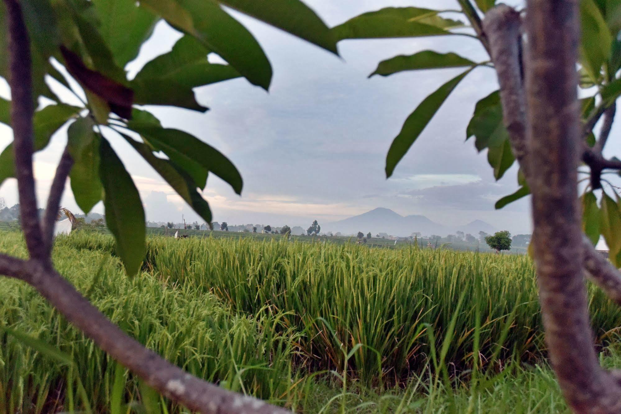Villa Yenian By Villa Finder Canggu Exteriér fotografie